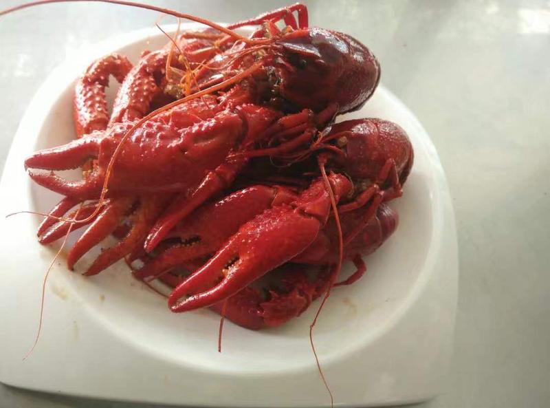 微信图片_201904281407078.jpg